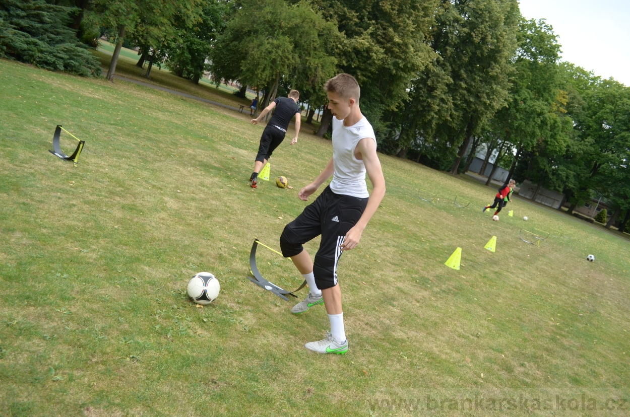 BFŠJCH - Léto 2015 - 19.7.2015