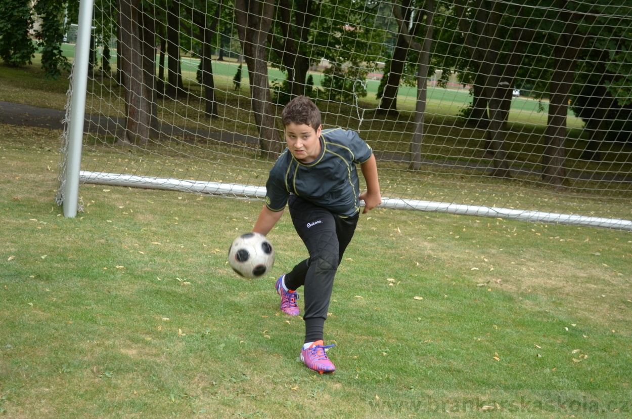 BFŠJCH - Léto 2015 - 19.7.2015