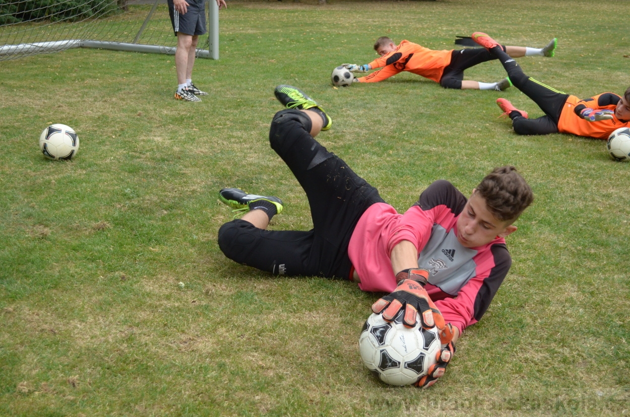 BFŠJCH - Léto 2015 - 19.7.2015