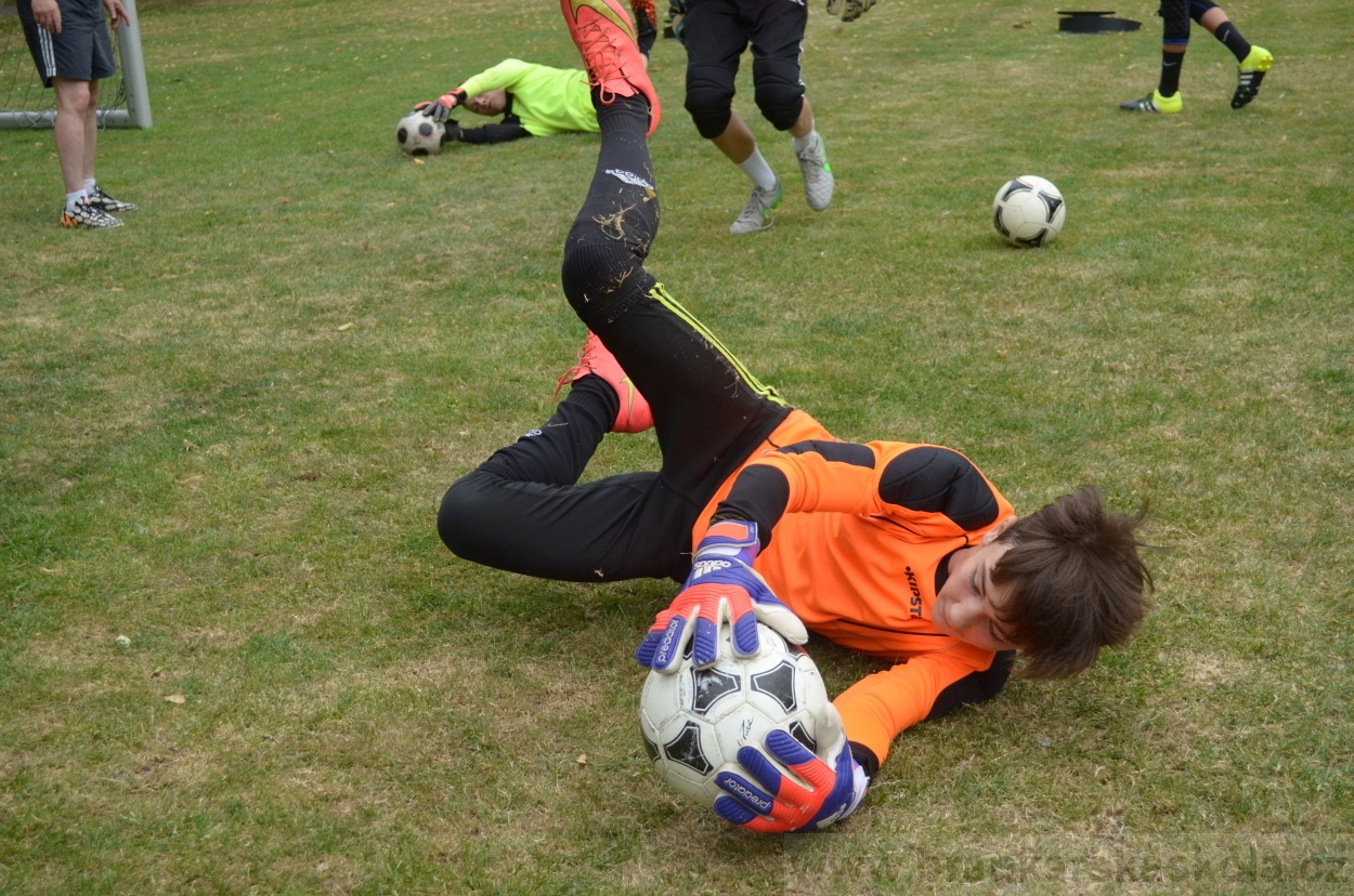 BFŠJCH - Léto 2015 - 19.7.2015