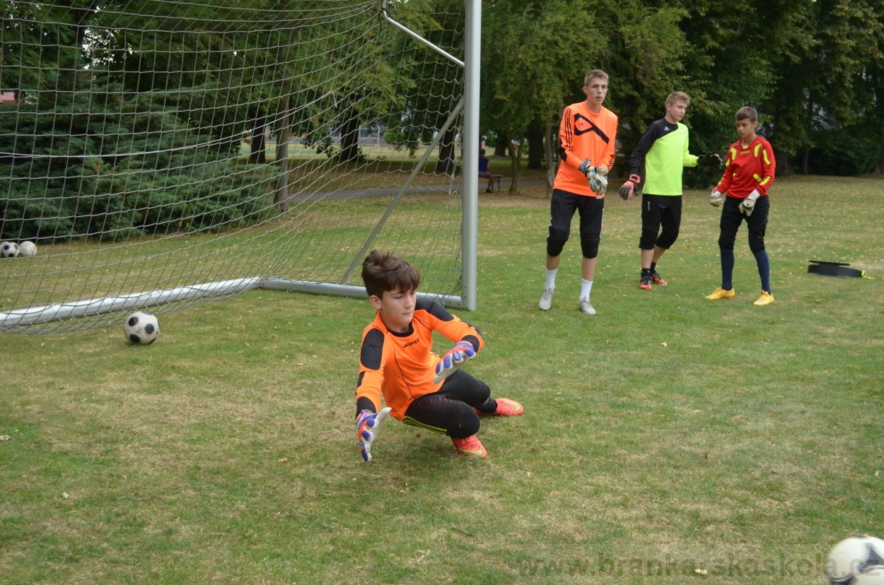 BFŠJCH - Léto 2015 - 19.7.2015