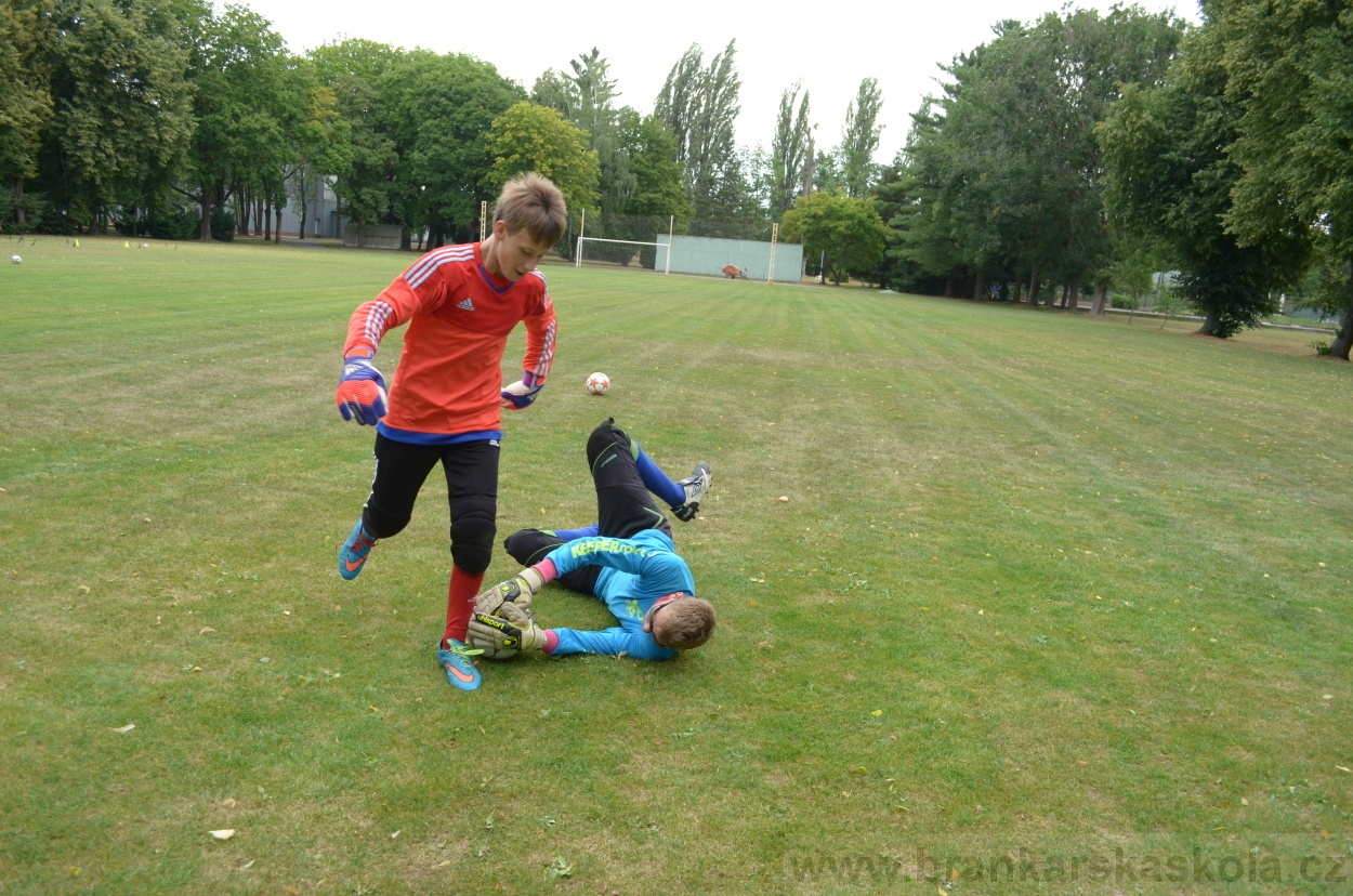 BFŠJCH - Léto 2015 - 19.7.2015