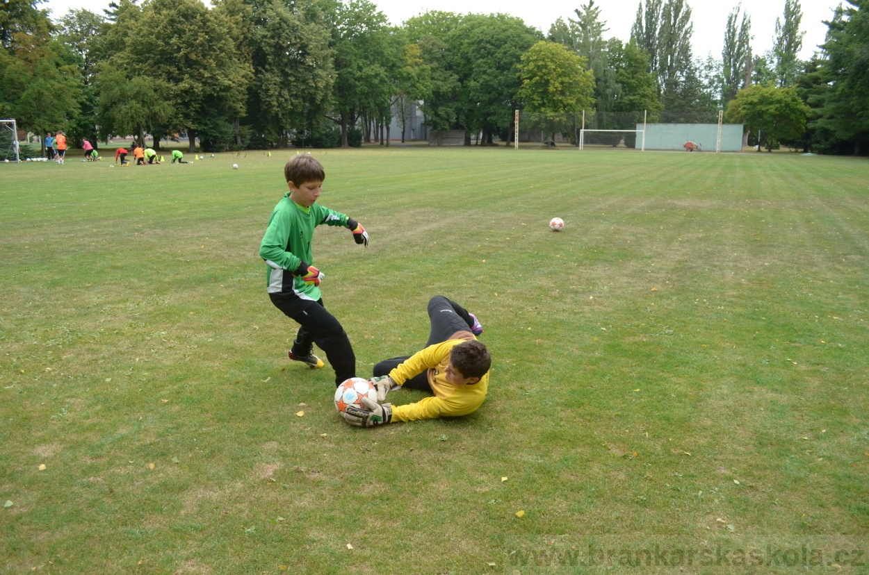 BFŠJCH - Léto 2015 - 19.7.2015