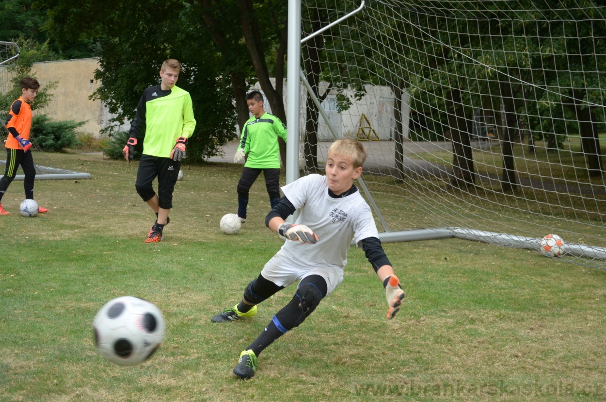BFŠJCH - Léto 2015 - 19.7.2015