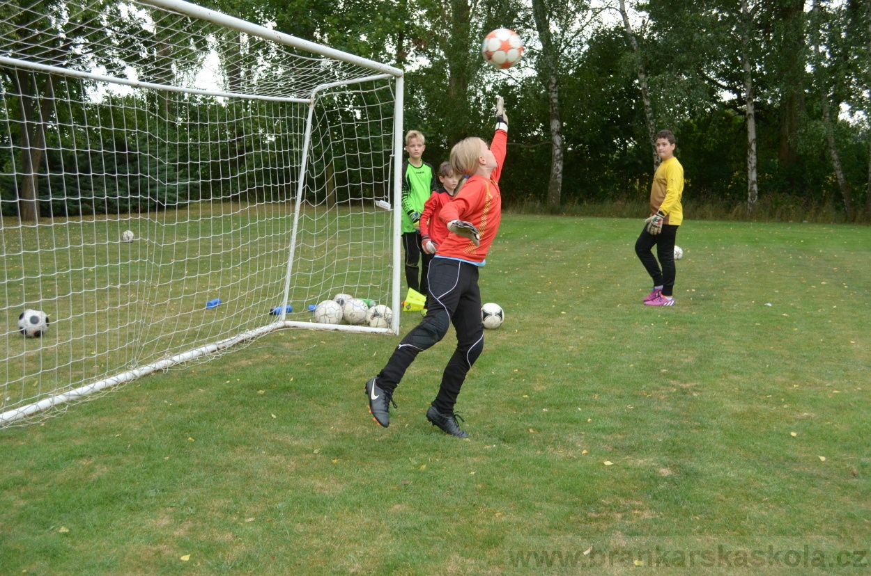 BFŠJCH - Léto 2015 - 19.7.2015