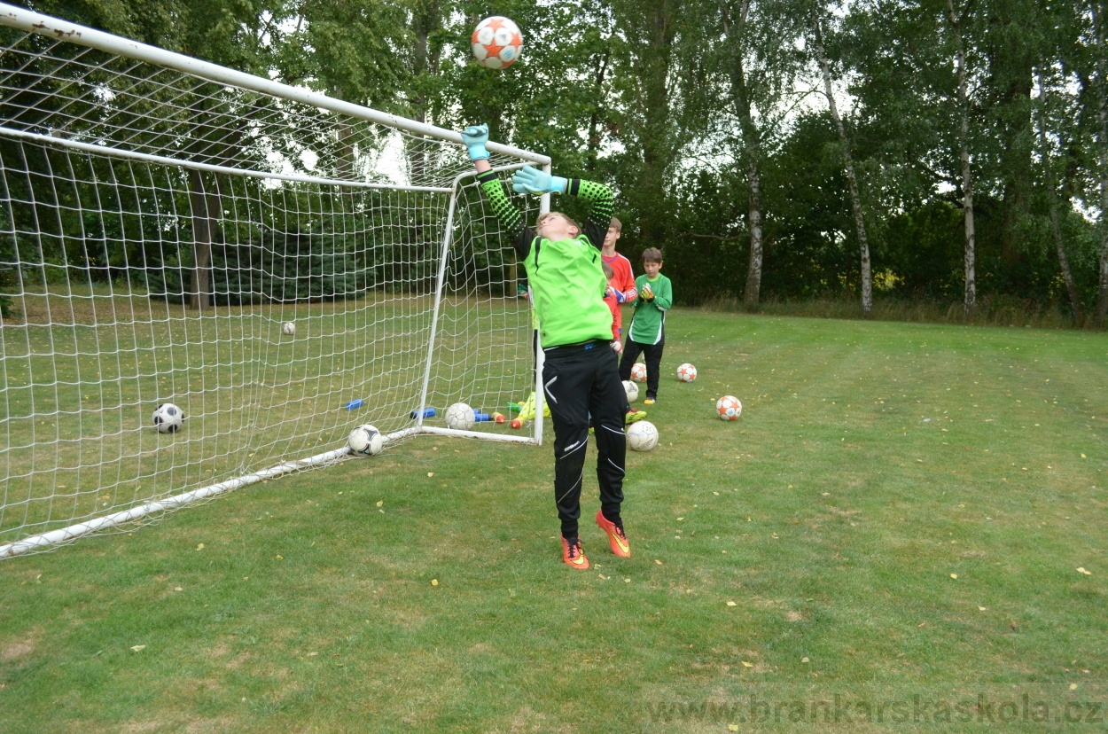 BFŠJCH - Léto 2015 - 19.7.2015