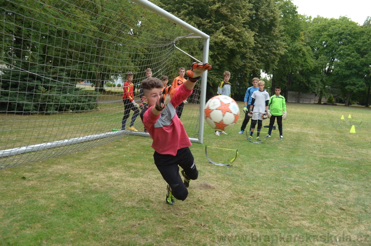 BFŠJCH - Léto 2015 - 19.7.2015