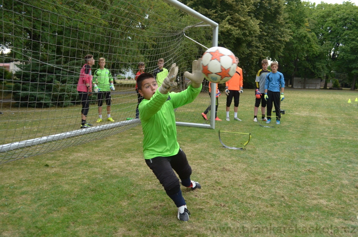 BFŠJCH - Léto 2015 - 19.7.2015