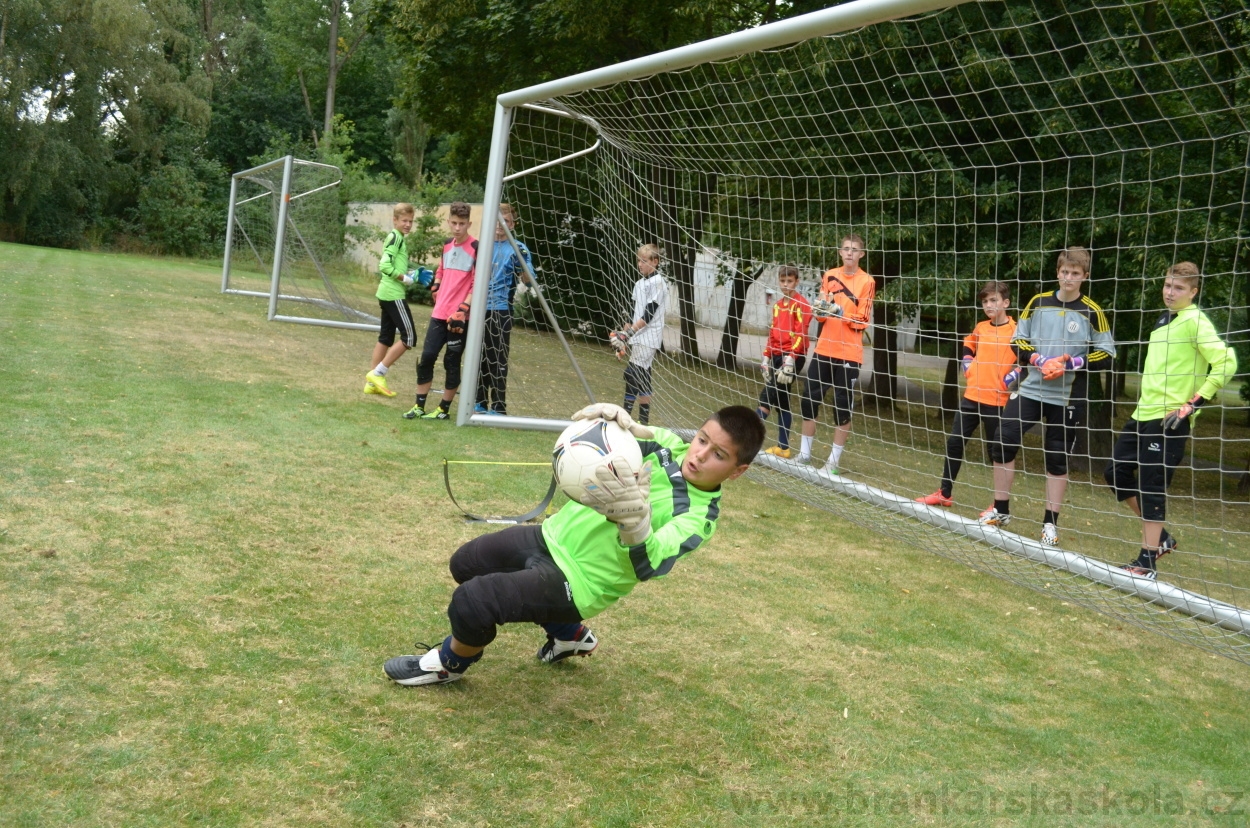 BFŠJCH - Léto 2015 - 19.7.2015