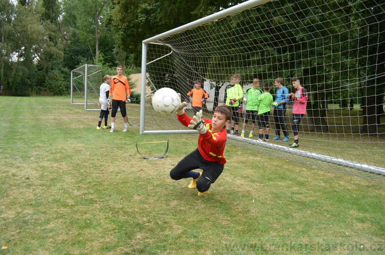 BFŠJCH - Léto 2015 - 19.7.2015