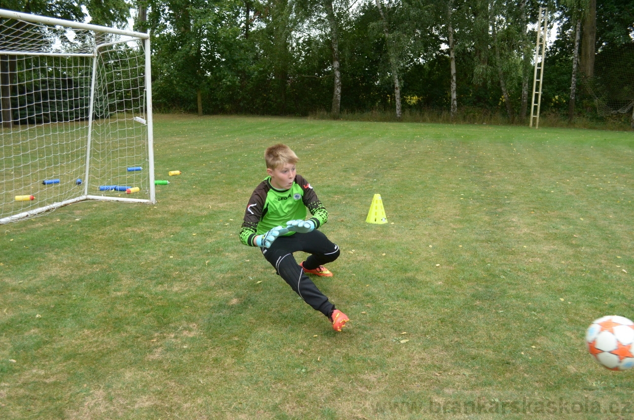 BFŠJCH - Léto 2015 - 19.7.2015