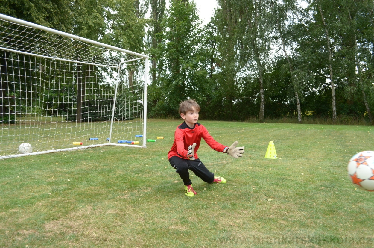 BFŠJCH - Léto 2015 - 19.7.2015