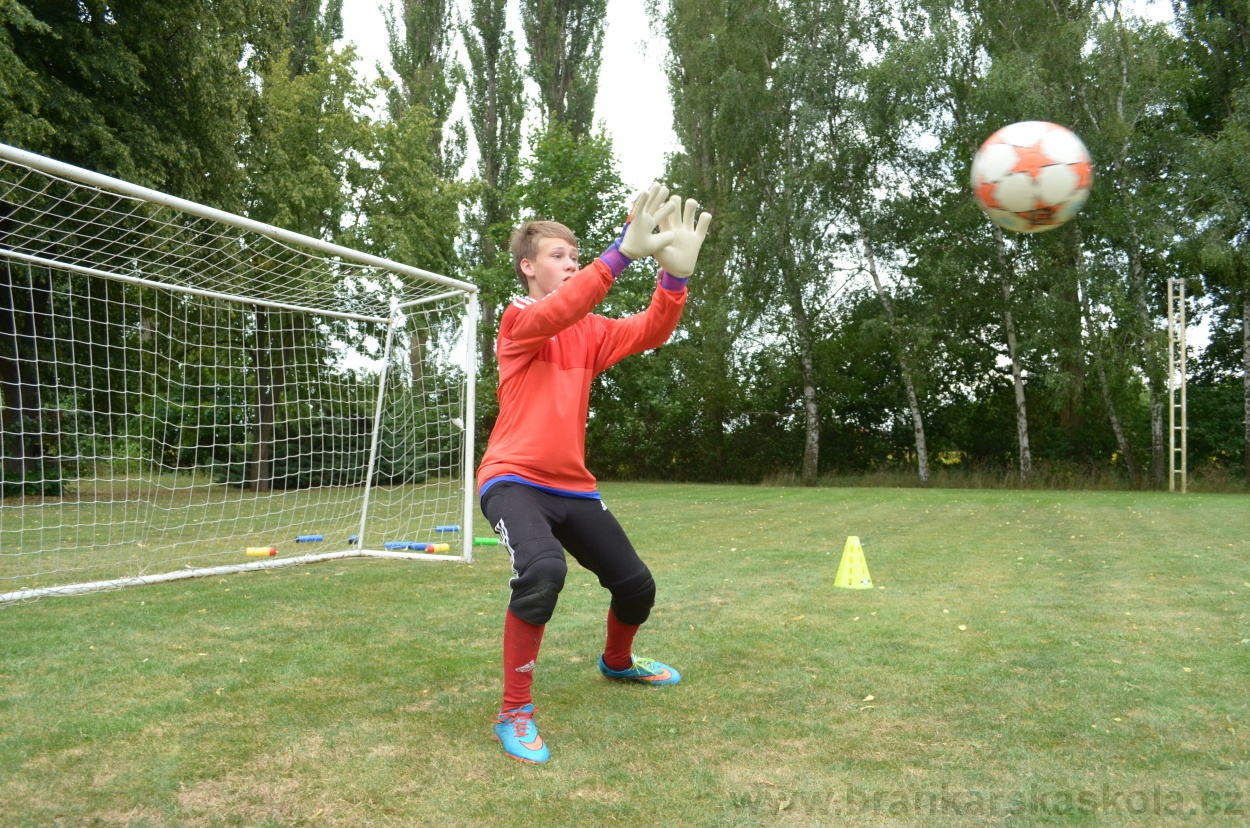 BFŠJCH - Léto 2015 - 19.7.2015