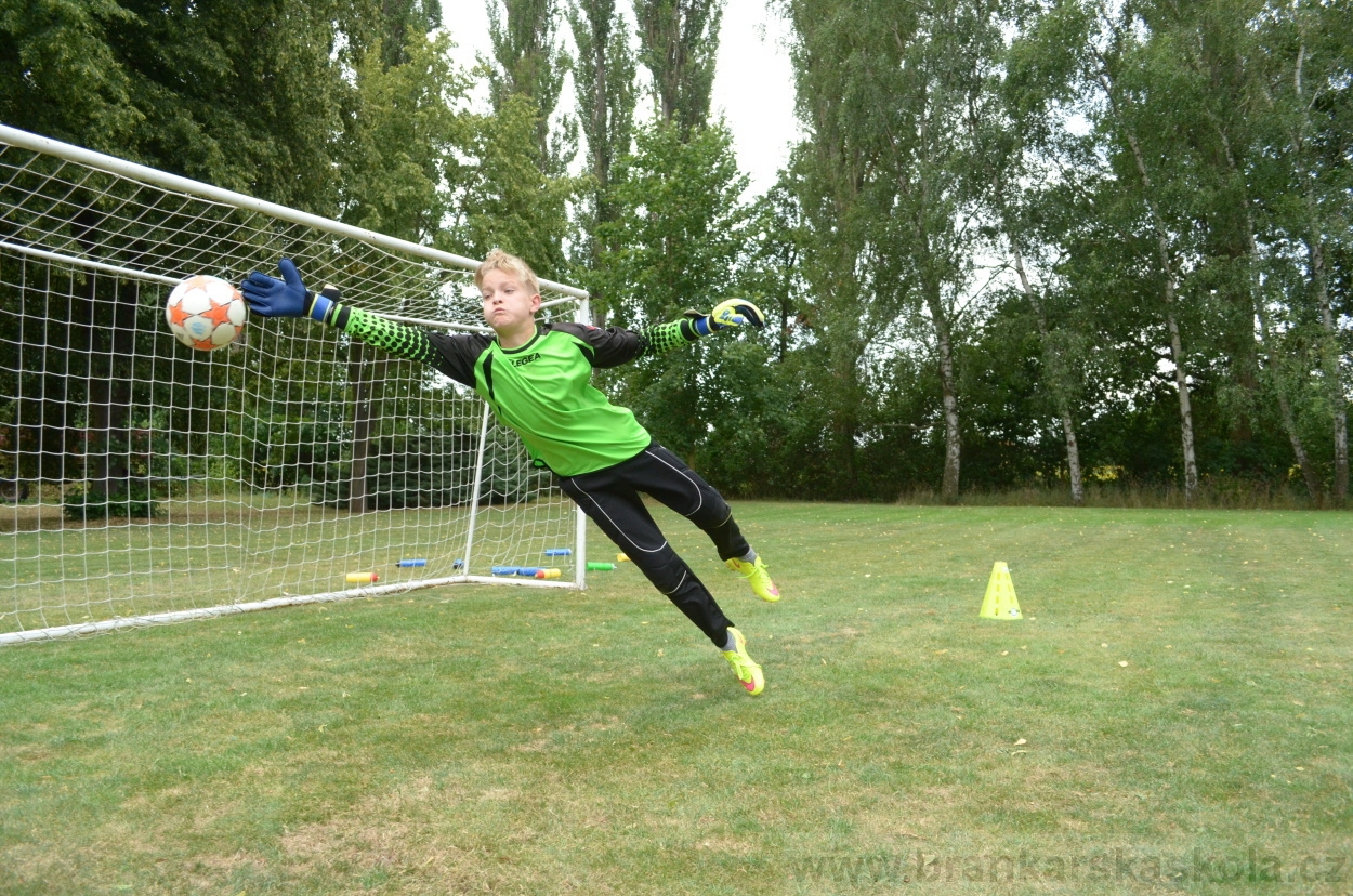 BFŠJCH - Léto 2015 - 19.7.2015