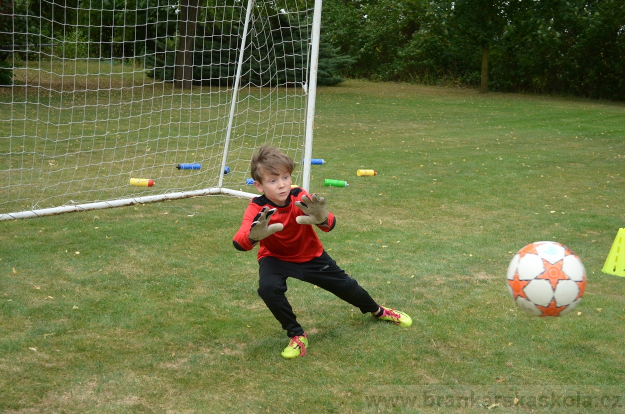 BFŠJCH - Léto 2015 - 19.7.2015