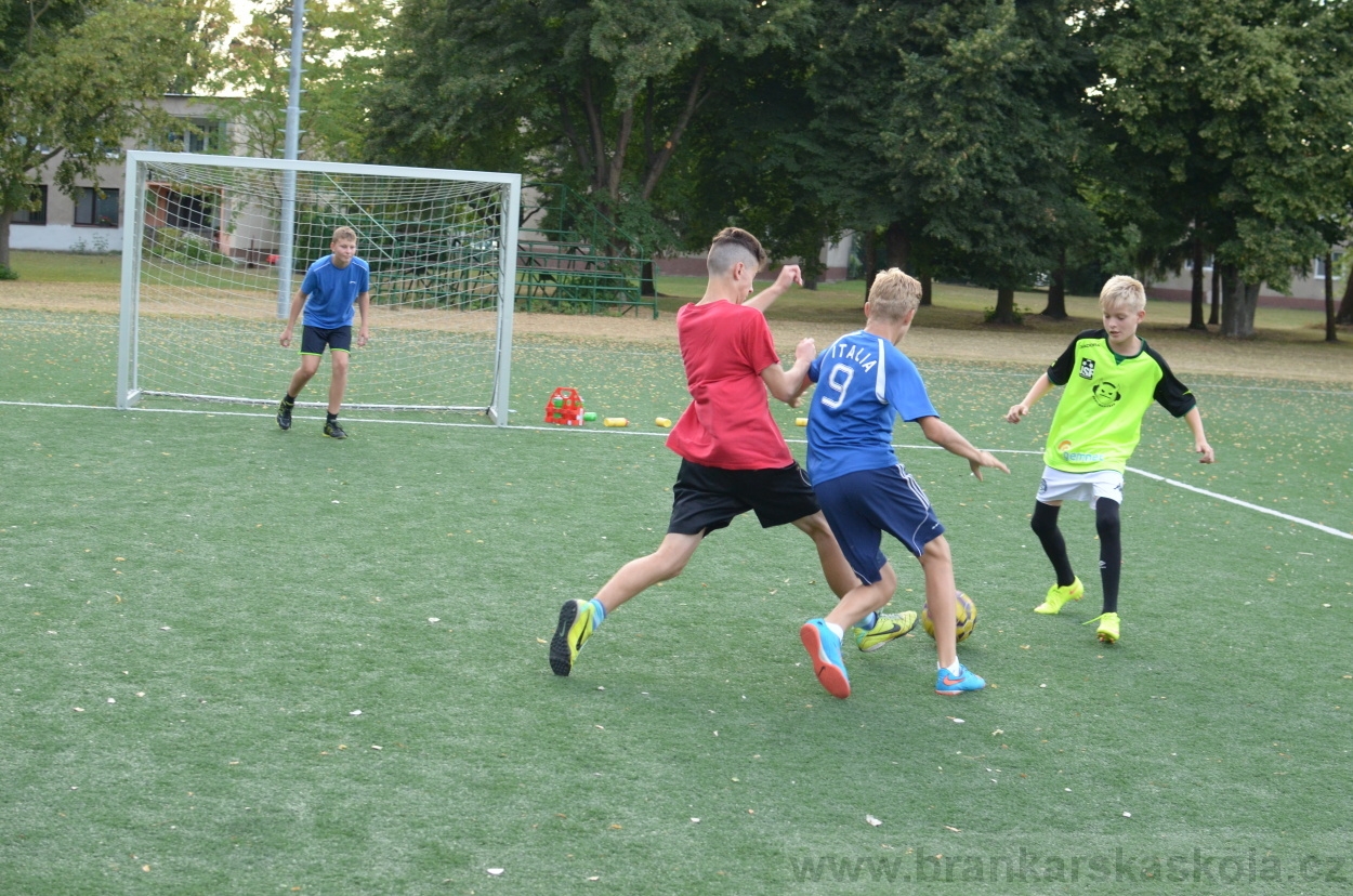 BFŠJCH - Léto 2015 - 19.7.2015