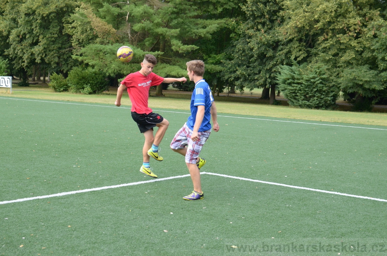 BFŠJCH - Léto 2015 - 19.7.2015