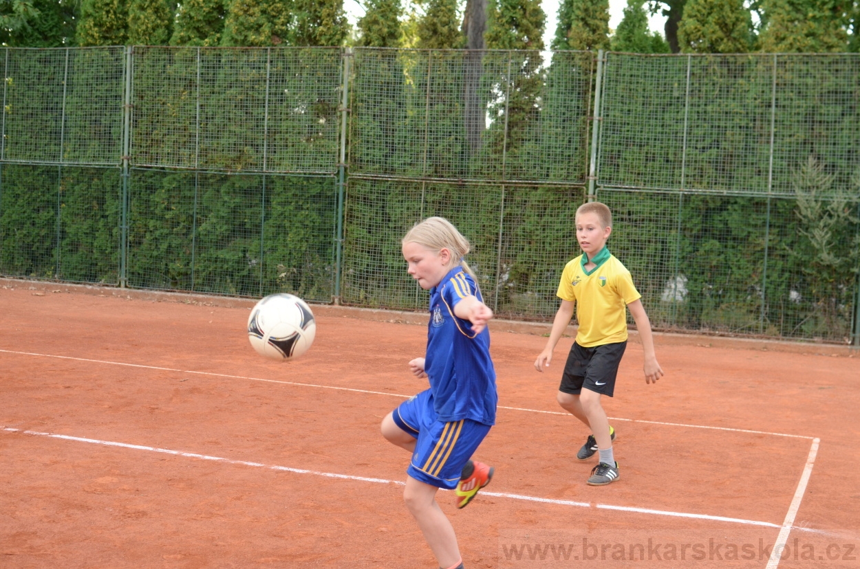 BFŠJCH - Léto 2015 - 19.7.2015