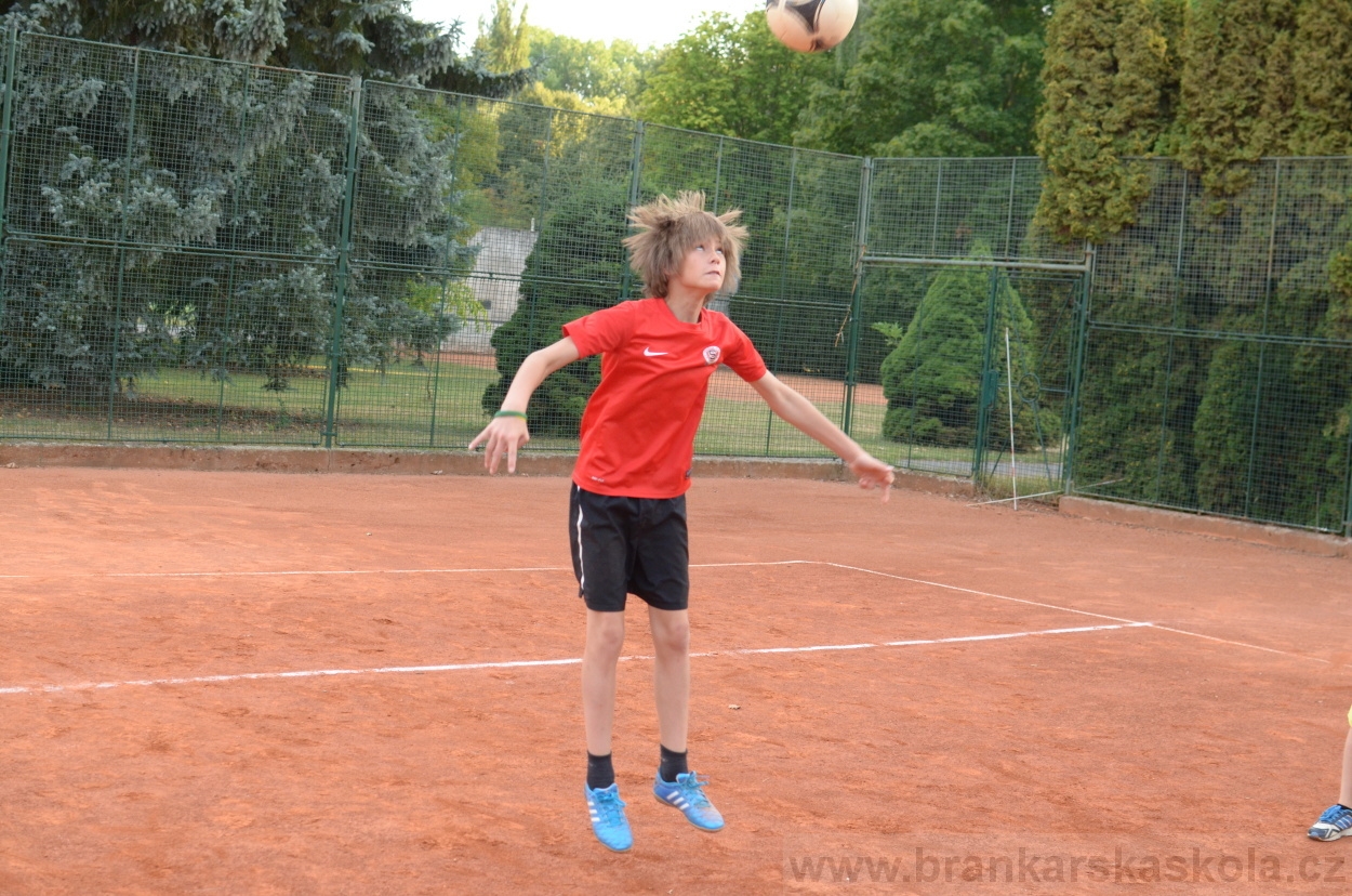 BFŠJCH - Léto 2015 - 19.7.2015