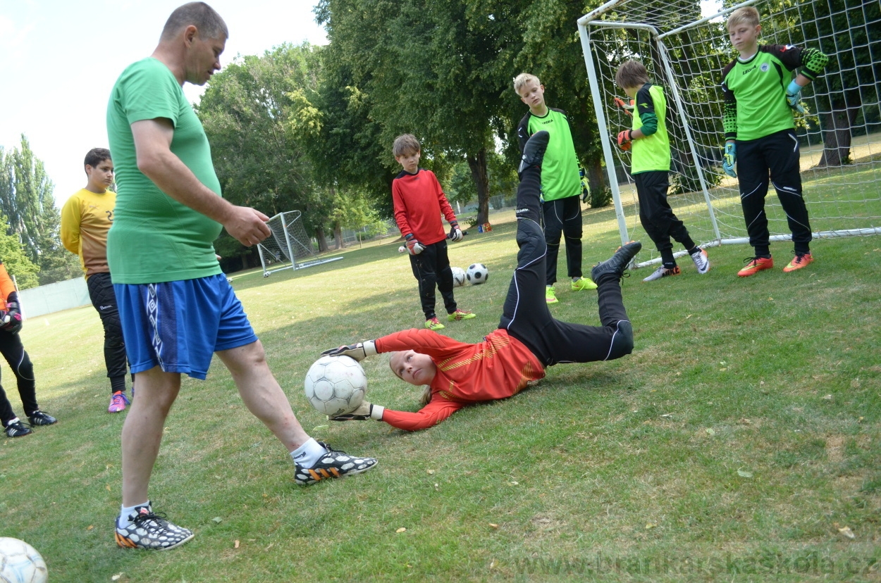 BFŠJCH - Léto 2015 - 19.7.2015