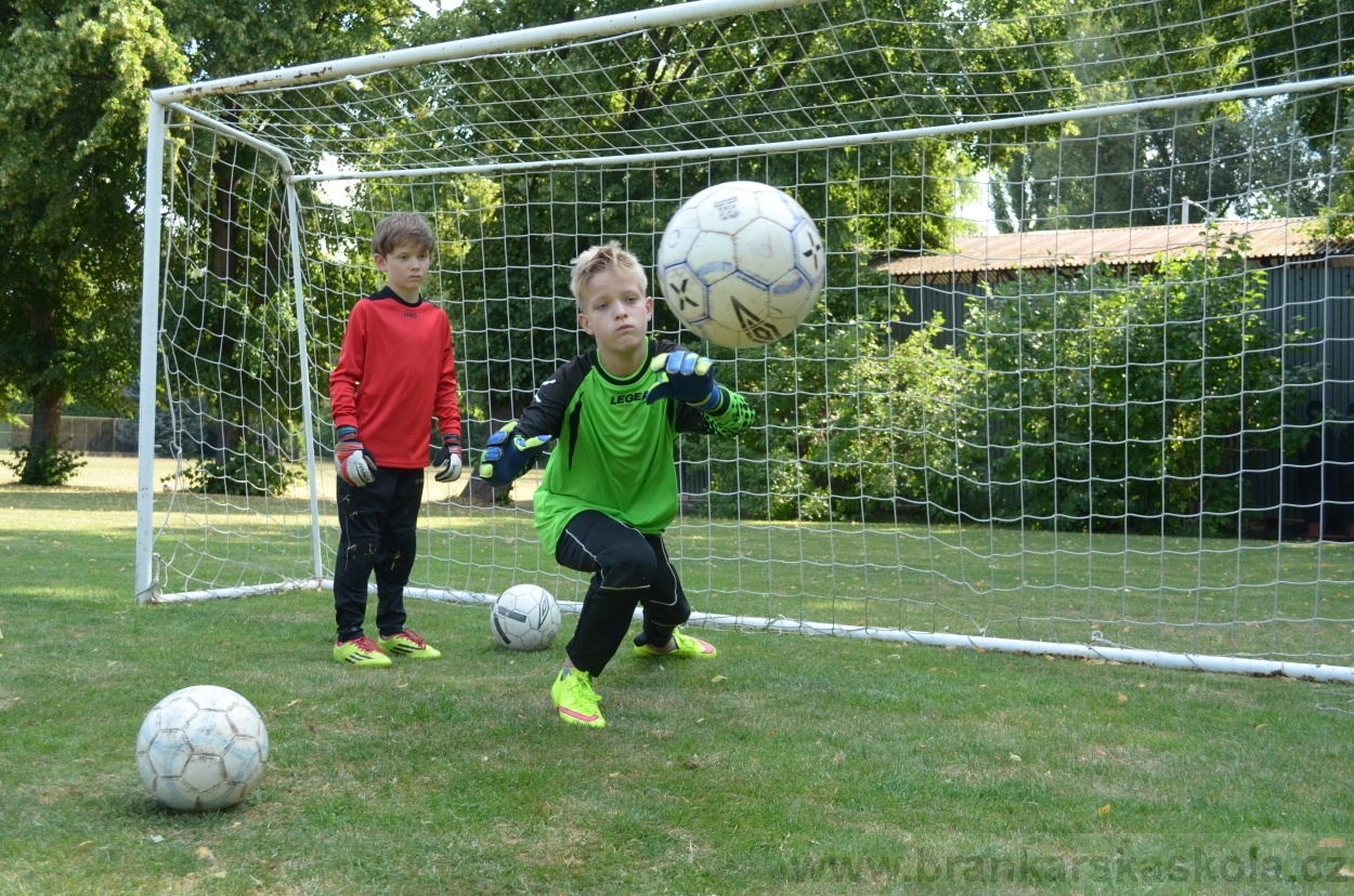 BFŠJCH - Léto 2015 - 19.7.2015