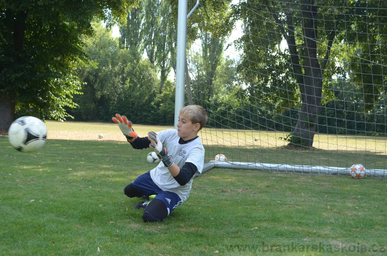 BFŠJCH - Léto 2015 - 19.7.2015