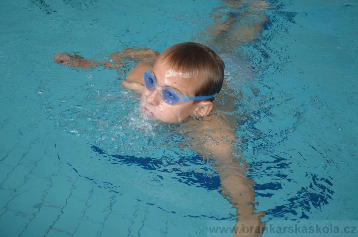 BFŠJCH - Léto 2015 - 19.7.2015