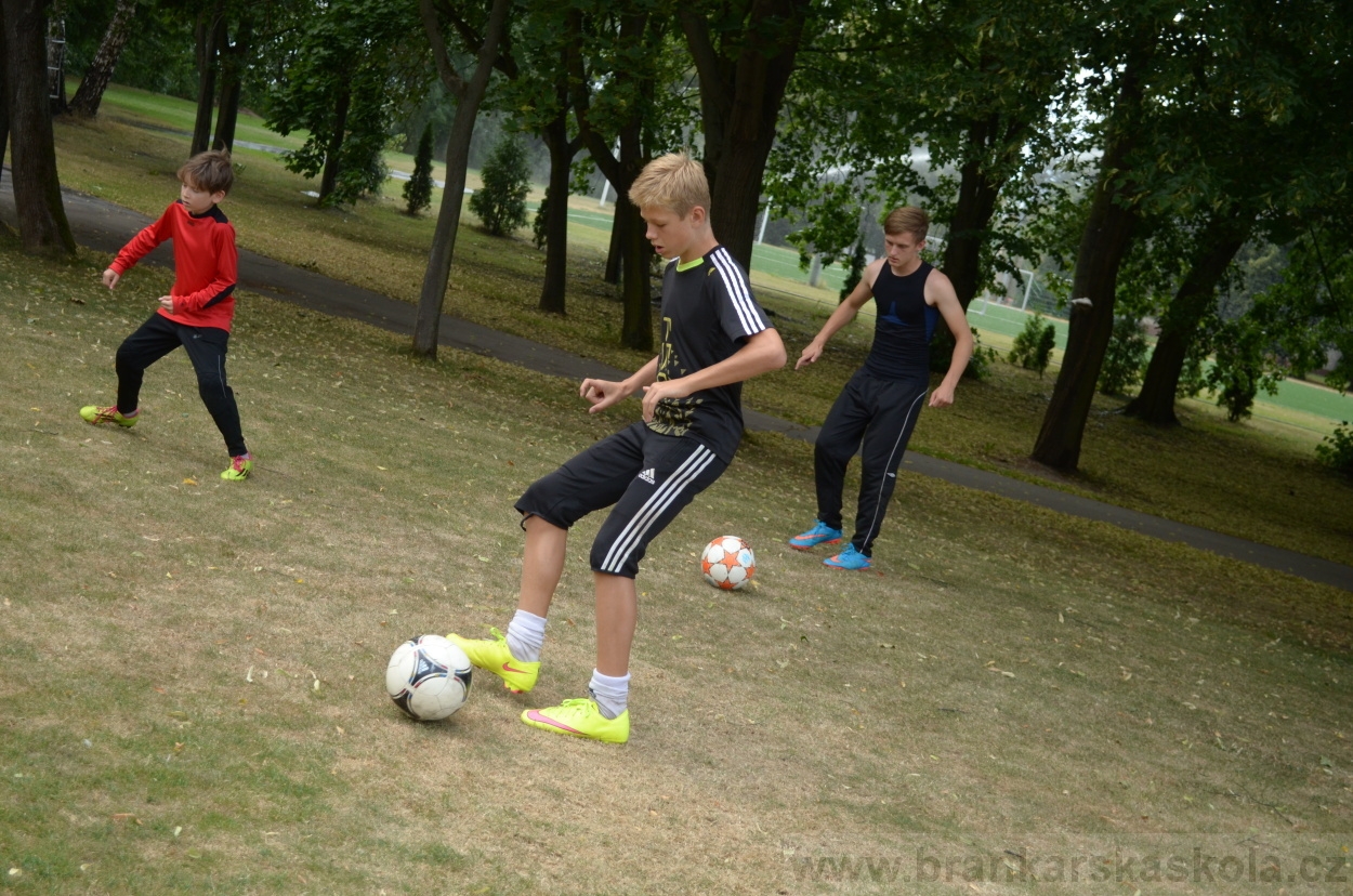 BFŠJCH - Léto 2015 - 19.7.2015