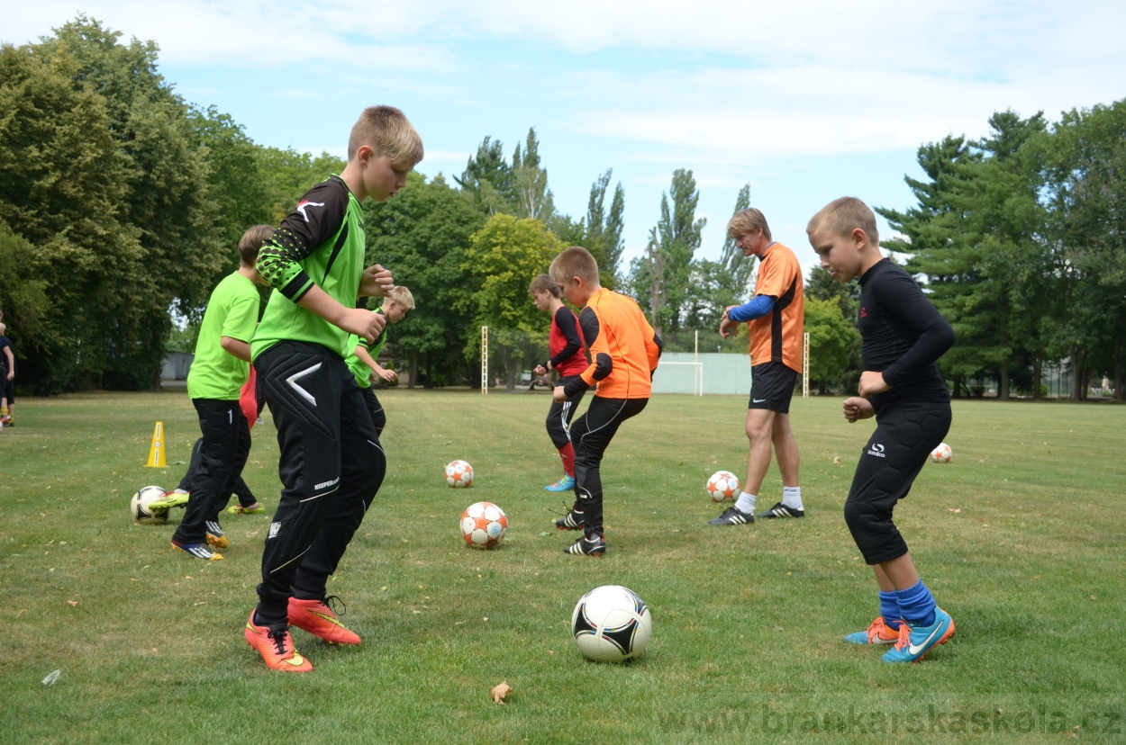 BFŠJCH - Léto 2015 - 19.7.2015