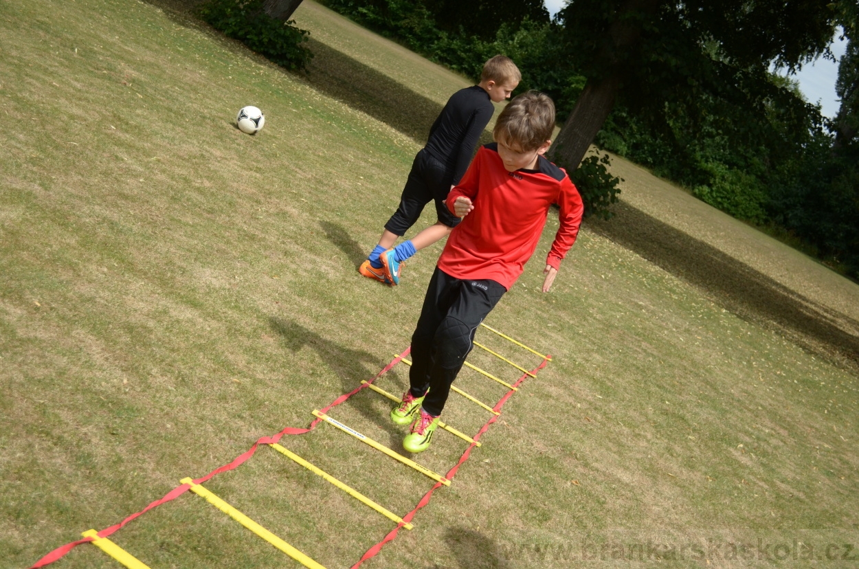 BFŠJCH - Léto 2015 - 19.7.2015