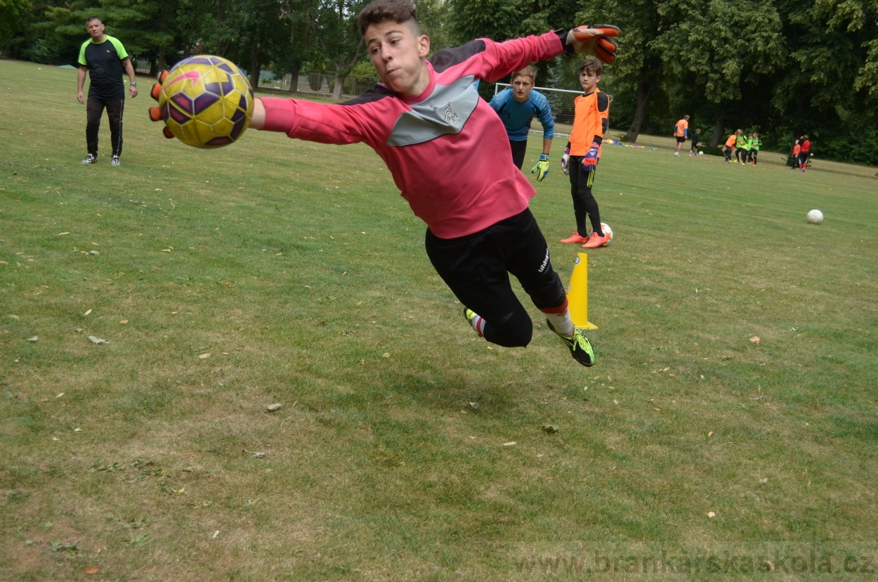 BFŠJCH - Léto 2015 - 19.7.2015