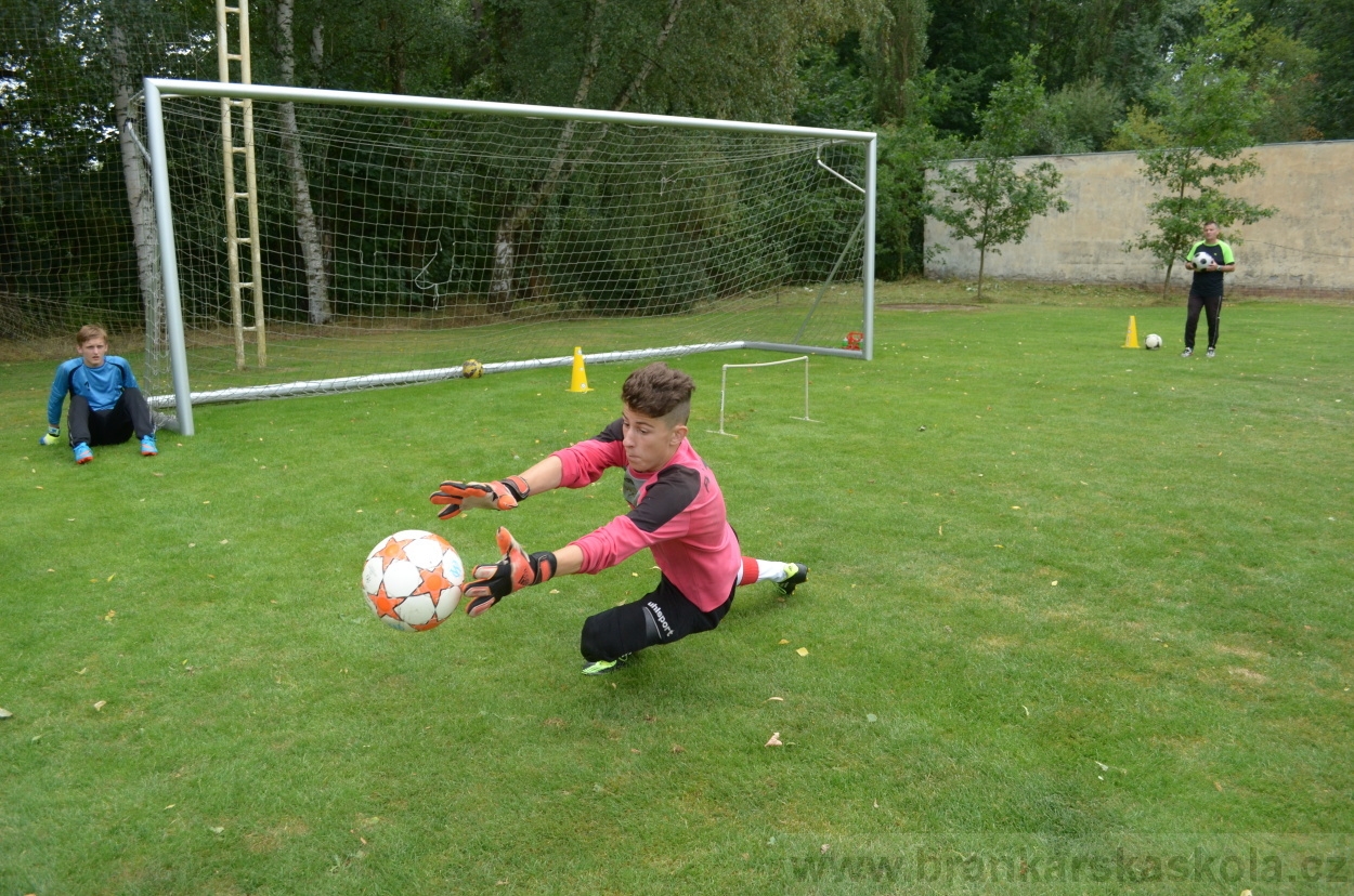 BFŠJCH - Léto 2015 - 19.7.2015