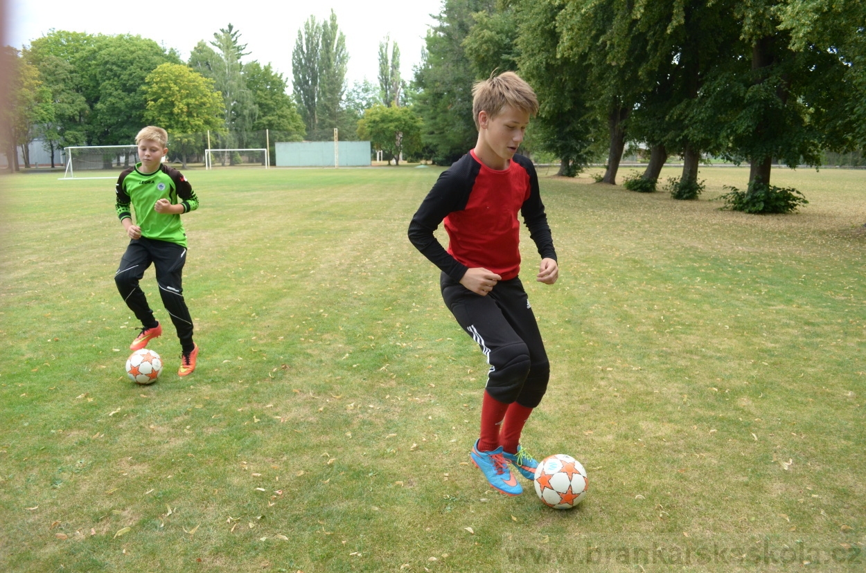 BFŠJCH - Léto 2015 - 21.7.2015