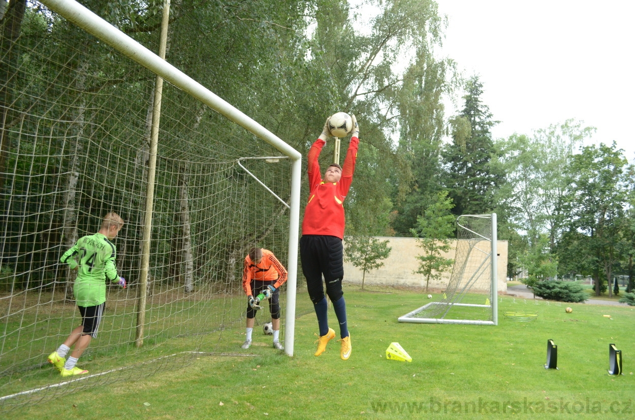 BFŠJCH - Léto 2015 - 21.7.2015