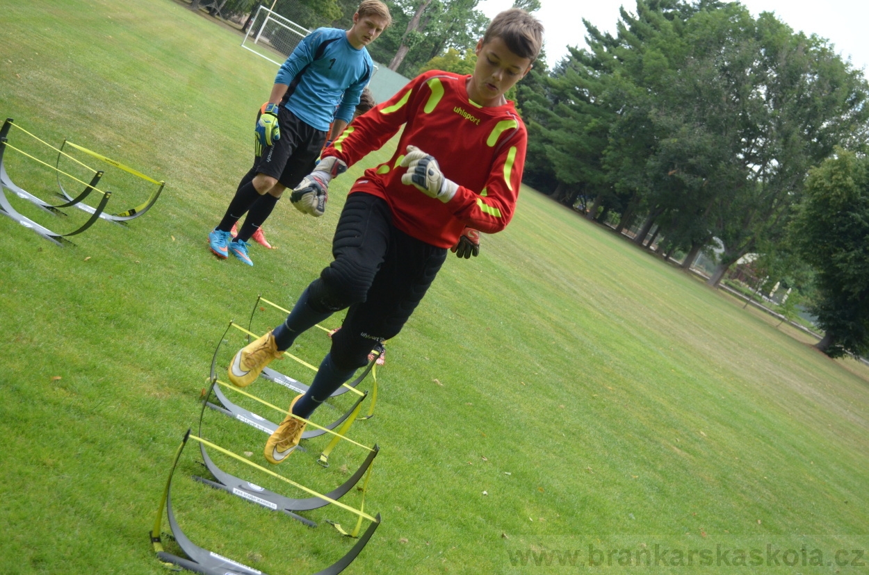BFŠJCH - Léto 2015 - 21.7.2015