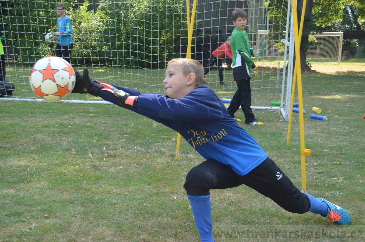 BFŠJCH - Léto 2015 - 21.7.2015