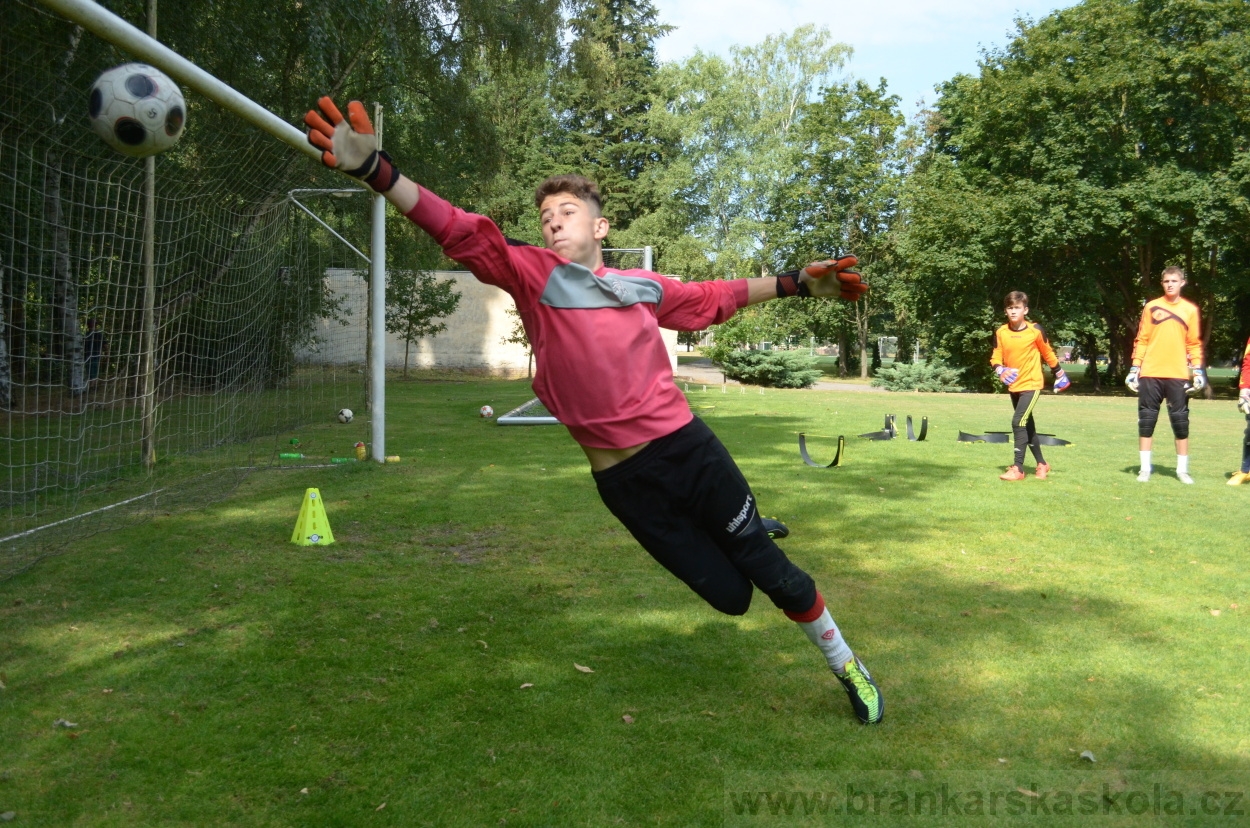 BFŠJCH - Léto 2015 - 21.7.2015