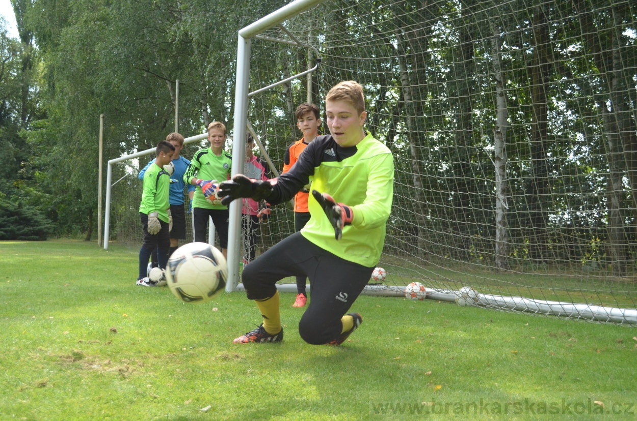 BFŠJCH - Léto 2015 - 21.7.2015