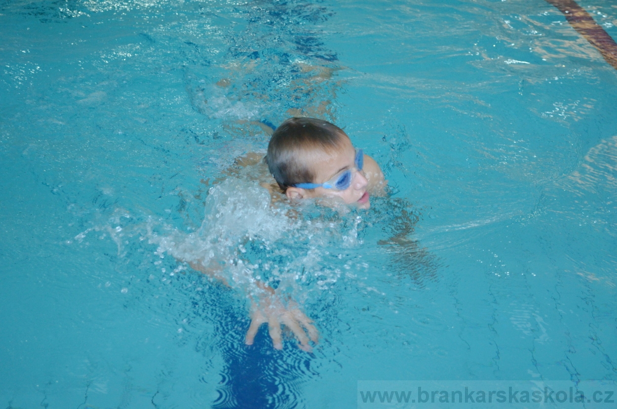 BFŠJCH - Léto 2015 - 21.7.2015