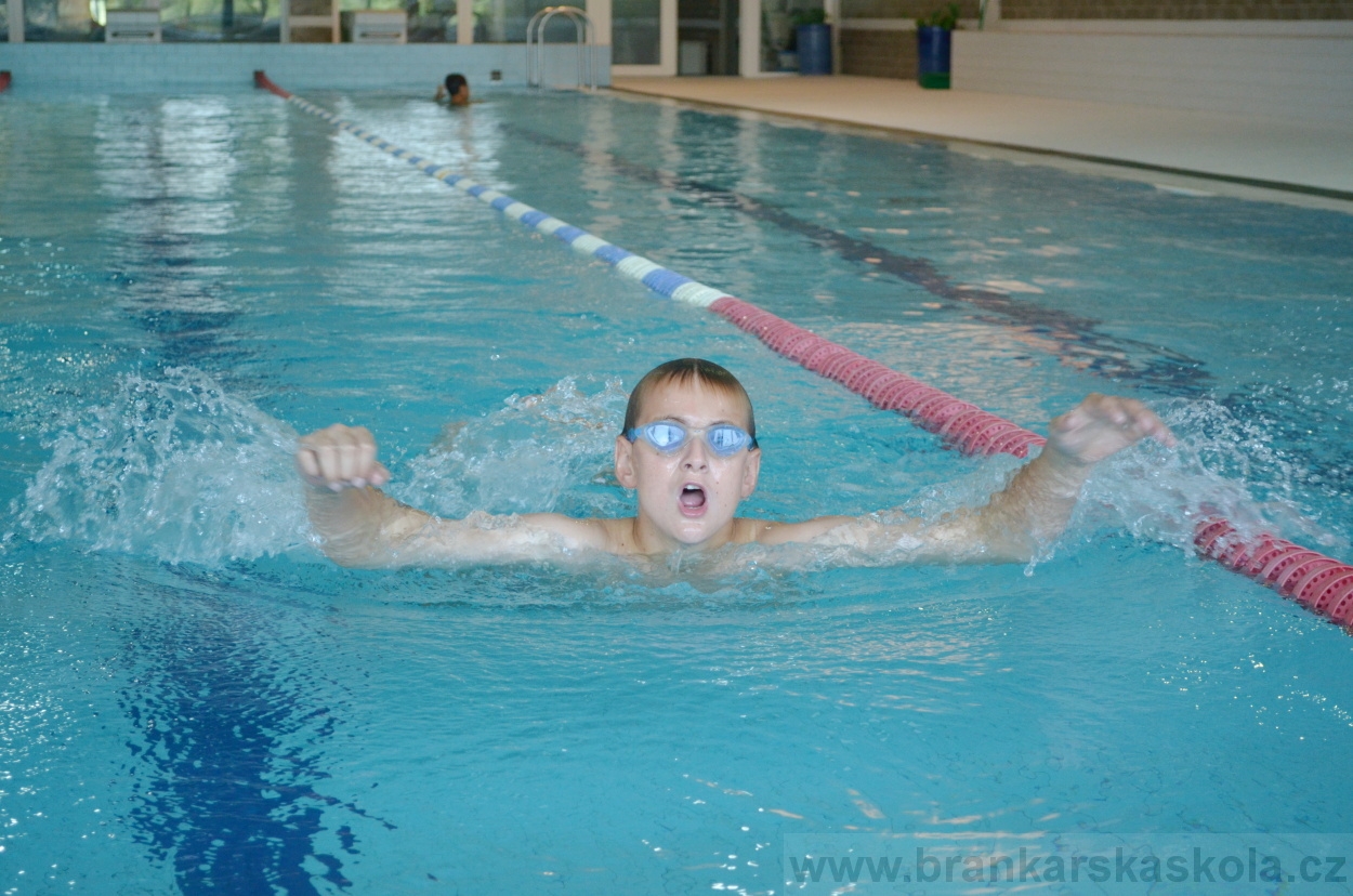 BFŠJCH - Léto 2015 - 21.7.2015