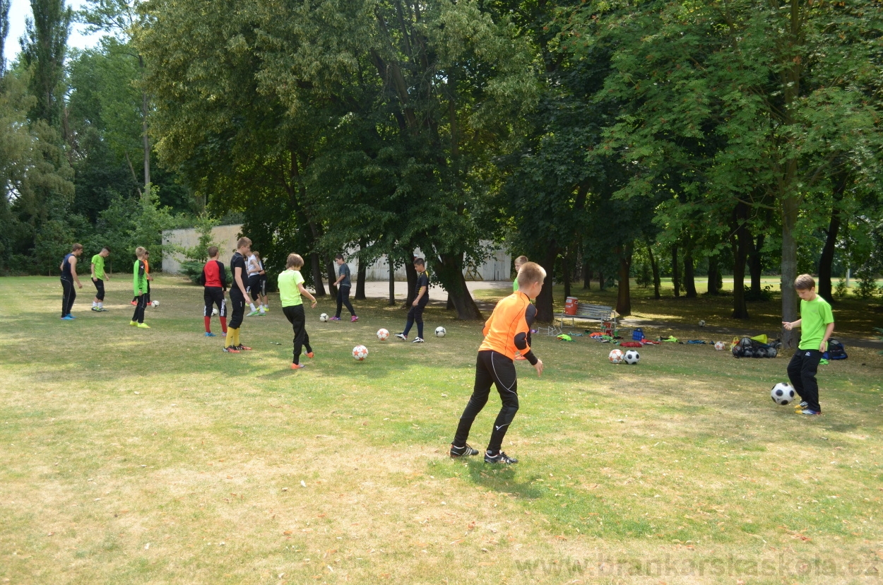 BFŠJCH - Léto 2015 - 21.7.2015