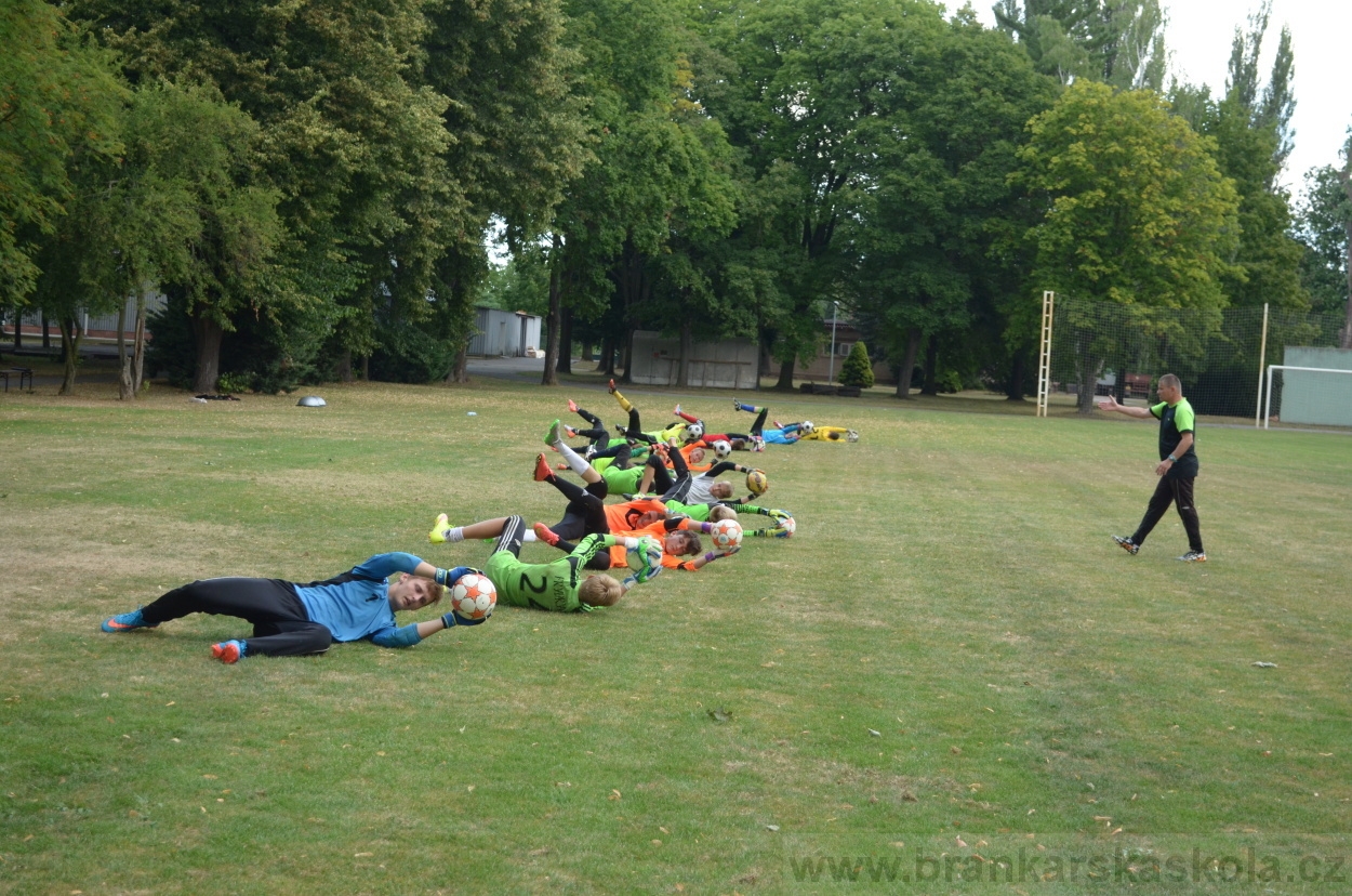 BFŠJCH - Léto 2015 - 21.7.2015