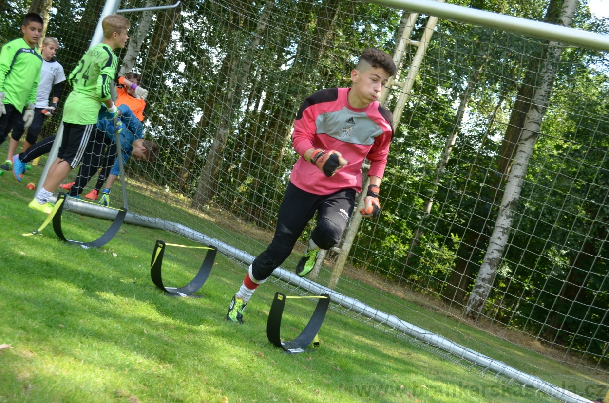 BFŠJCH - Léto 2015 - 21.7.2015