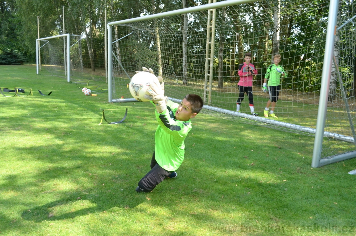 BFŠJCH - Léto 2015 - 21.7.2015