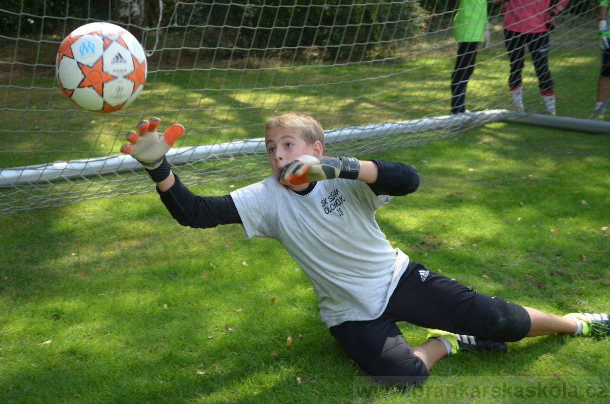 BFŠJCH - Léto 2015 - 21.7.2015