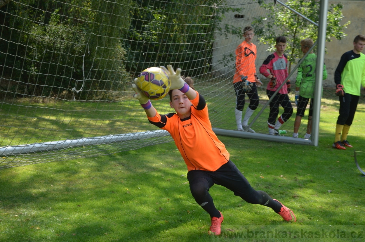 BFŠJCH - Léto 2015 - 21.7.2015