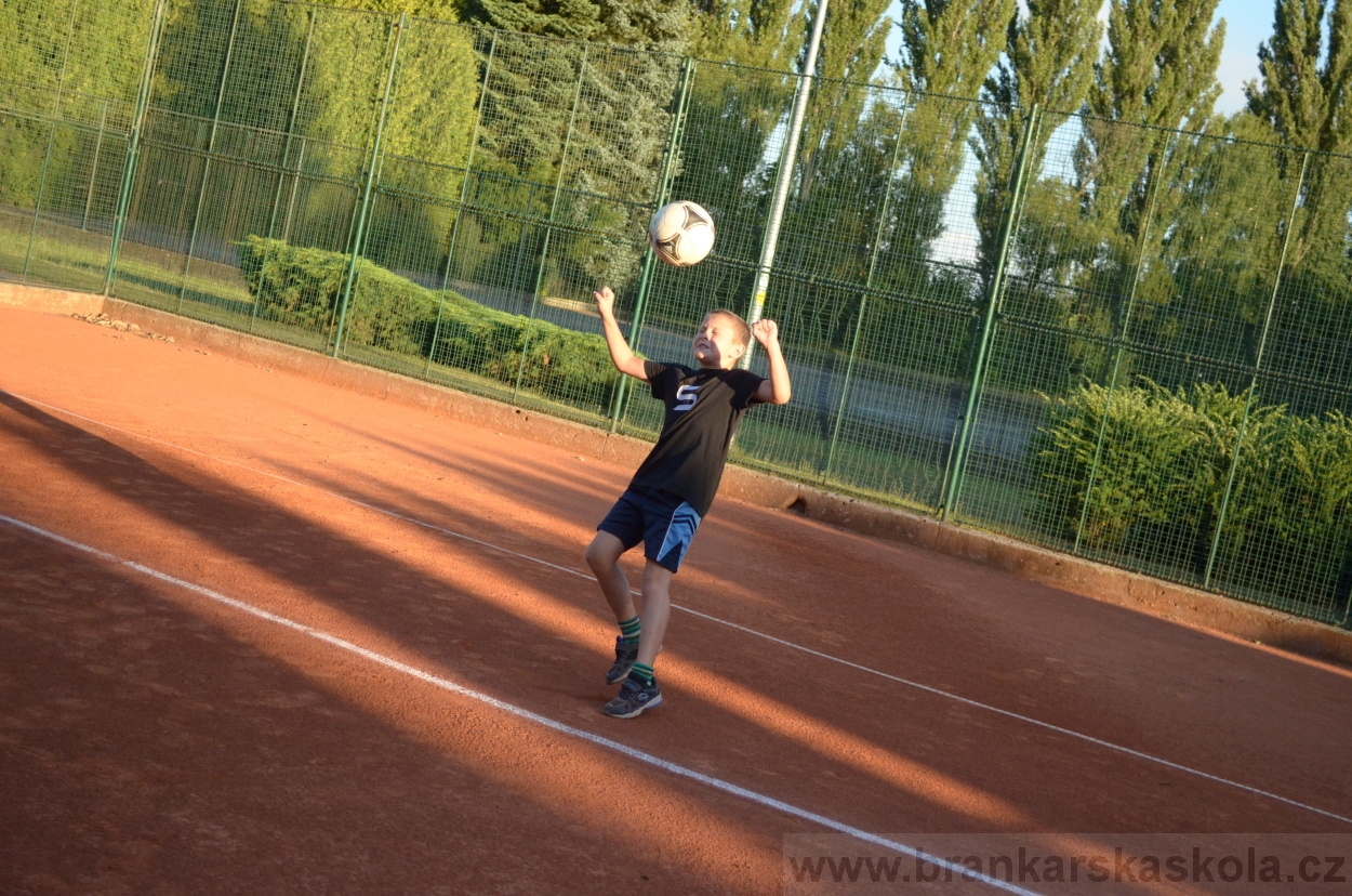 BFŠJCH - Léto 2015 - 21.7.2015