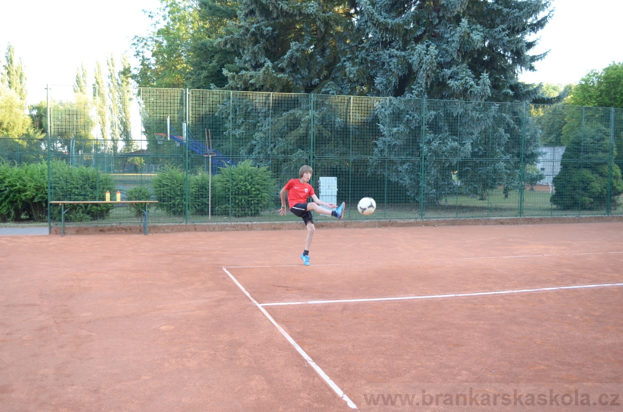 BFŠJCH - Léto 2015 - 21.7.2015