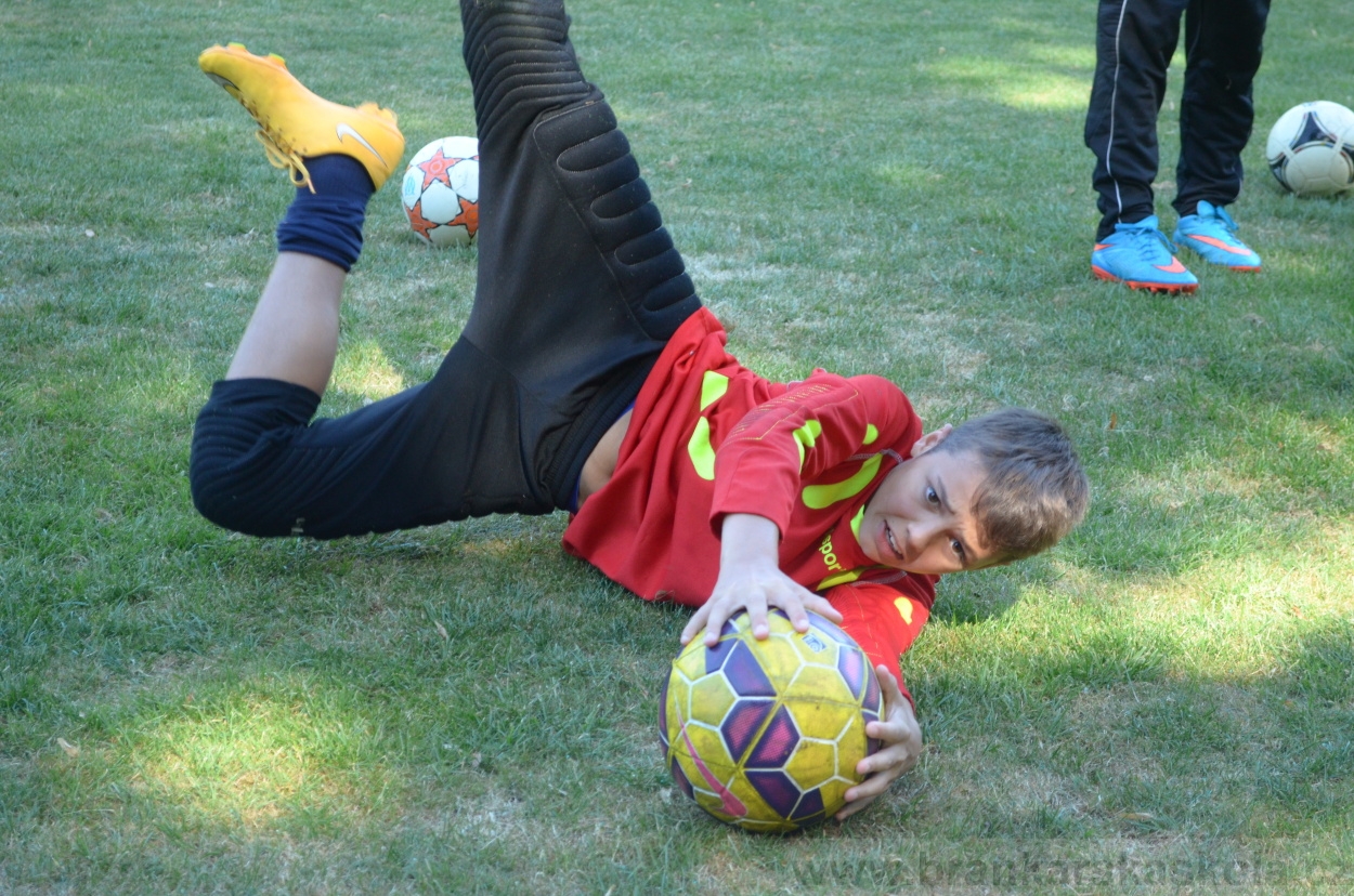 BFŠJCH - Léto 2015 - 22.7.2015