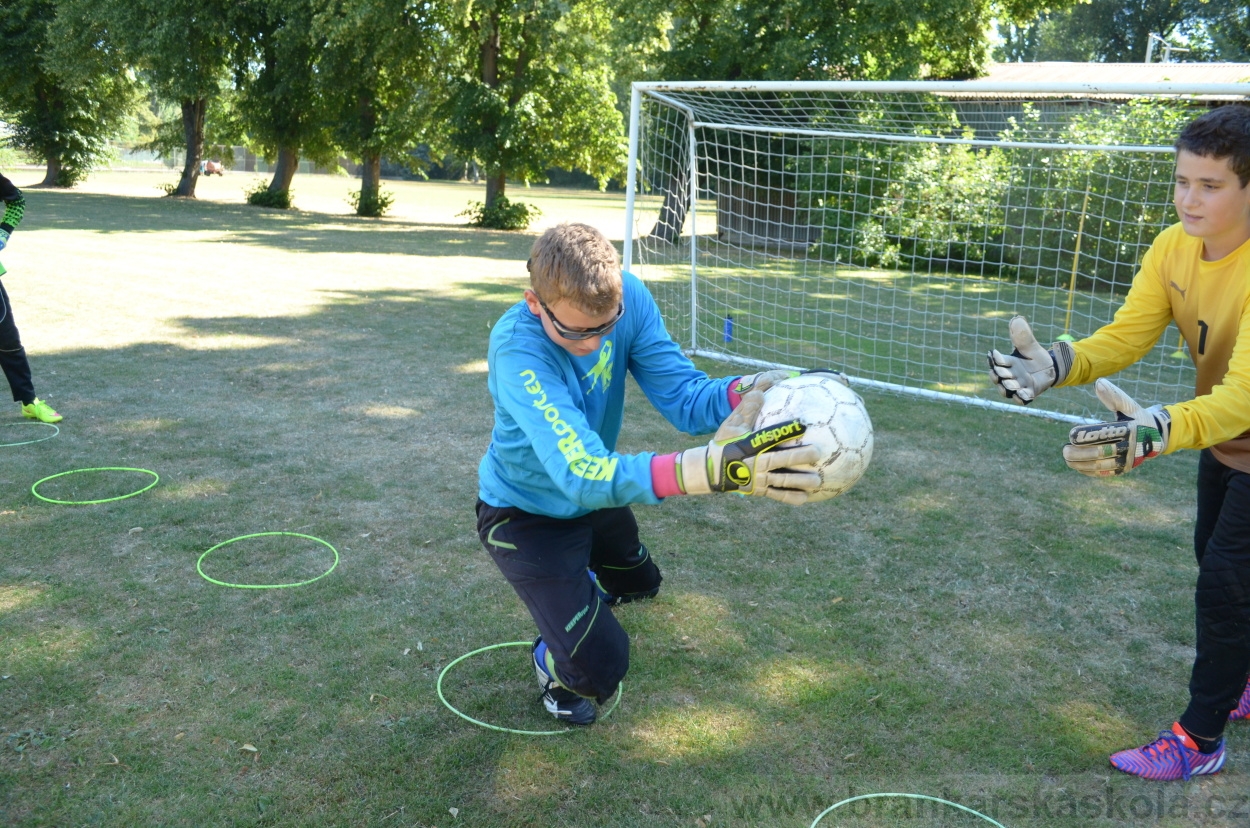 BFŠJCH - Léto 2015 - 22.7.2015